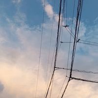ざつだーん❣️年齢、性別関係なしっ！！恋愛相談とか歌もいっぱーい話そっ❣️