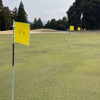 318カップ