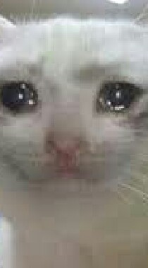 ออกกำลังกายกับคนหุ่นหมี