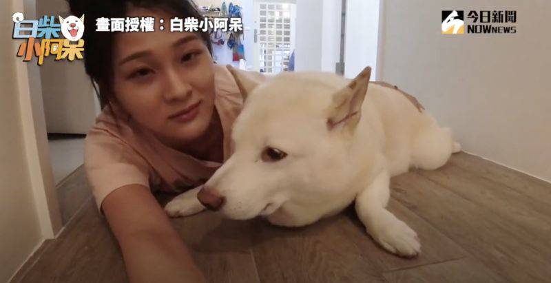 被 105度 狂洗腦白柴哀怨臉爆笑 Nownews 今日新聞 Line Today