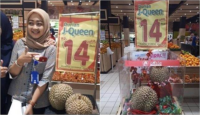 Download 580 Gambar Durian J Queen Paling Baru Gratis HD