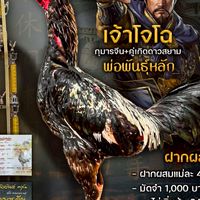 L&w บ้านสวนพลภัทร ฟาร์ม