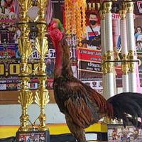 ซุ้ม พล ส.ตะวันแดง (จ้าวเด็กวัด)