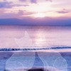 神様仏様なんとかして！＊時制ｈｕｎｔ