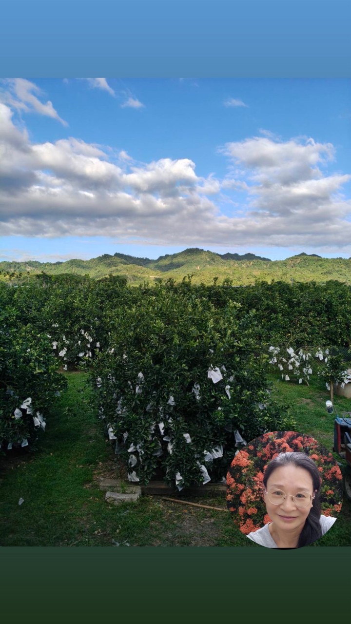 無毒農場自產水果