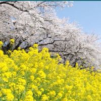 豊川医療福祉についてまなぶ会✒️