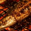 お魚の焼き方研究会