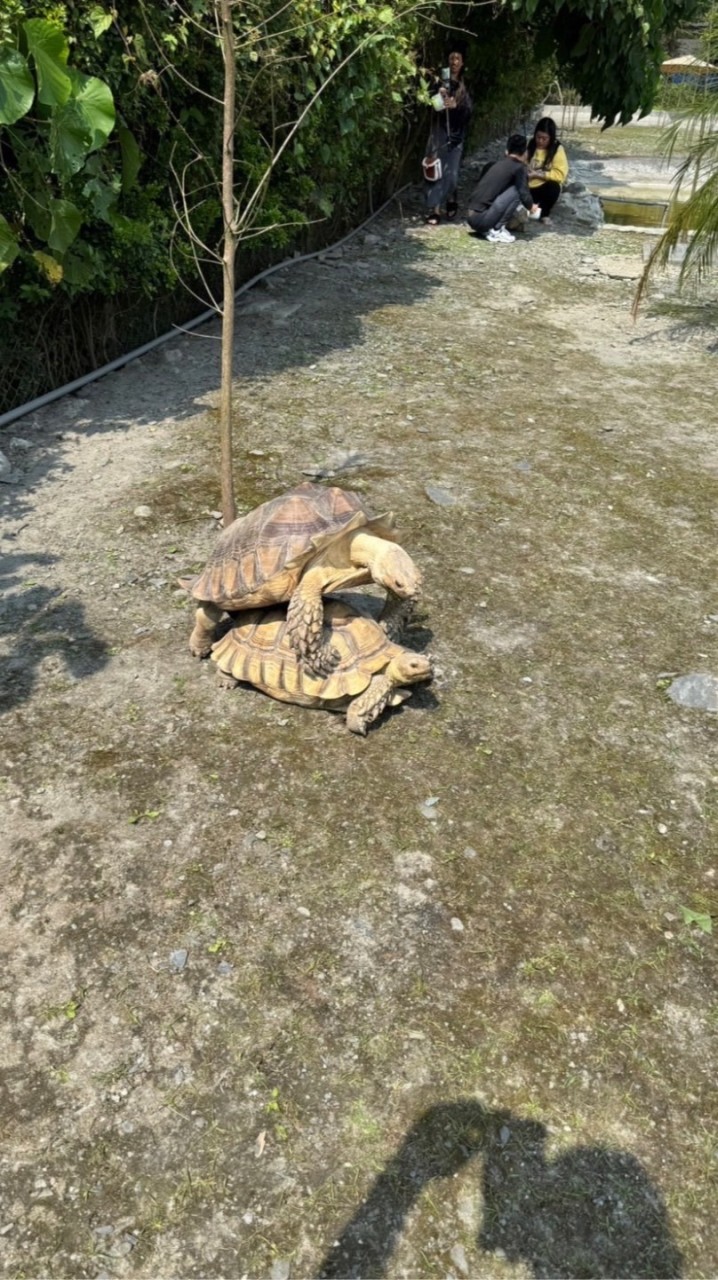 台北吃喝玩樂好朋友