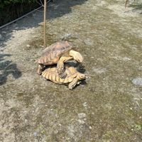 台北吃喝玩樂好朋友