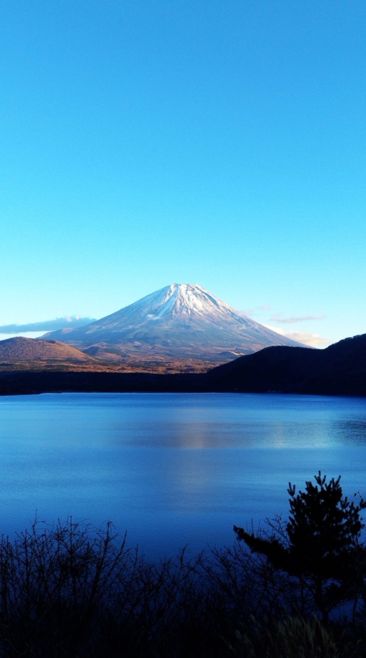 雑談部屋🌞　山梨