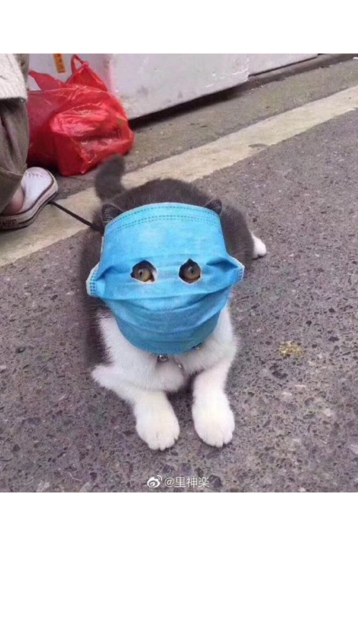 中部各式口罩討論聊天