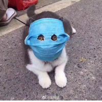 中部各式口罩討論聊天