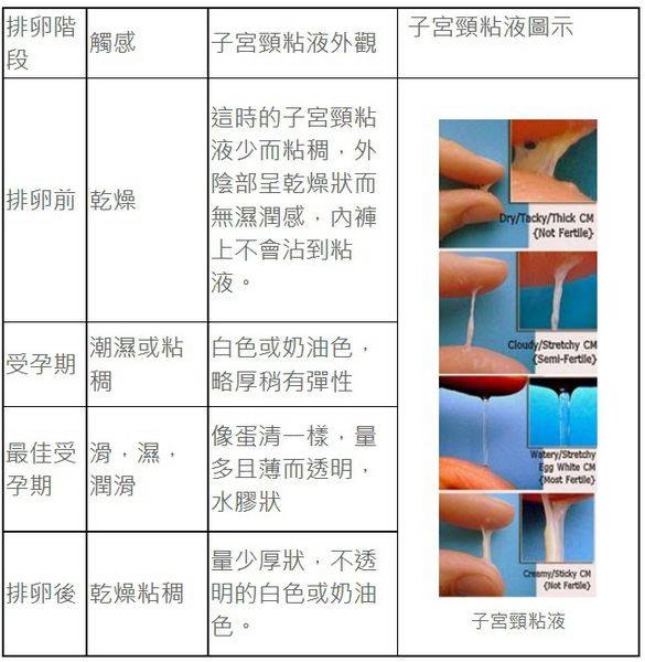 出血 分泌物多 排卵期症狀知多少 掌握6大徵兆更容易懷孕 Mamibuy媽咪拜 Line Today