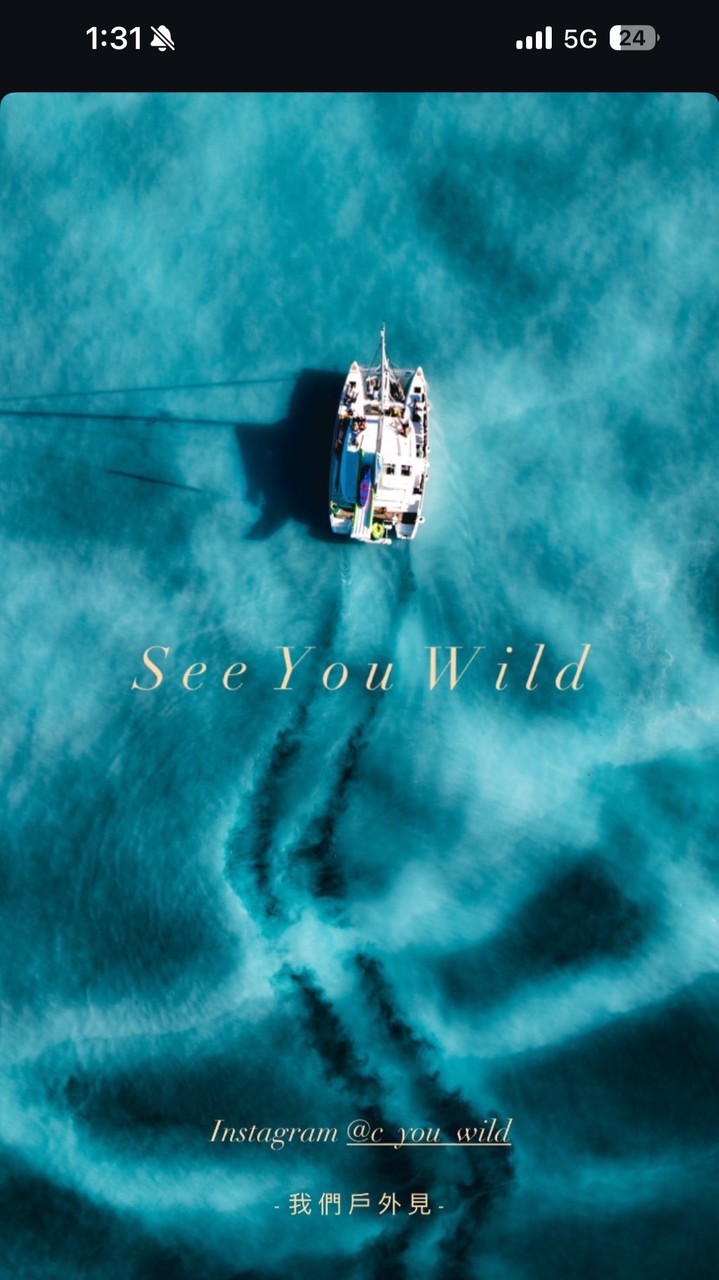 See You Wild  西揪團