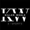 killer whale
