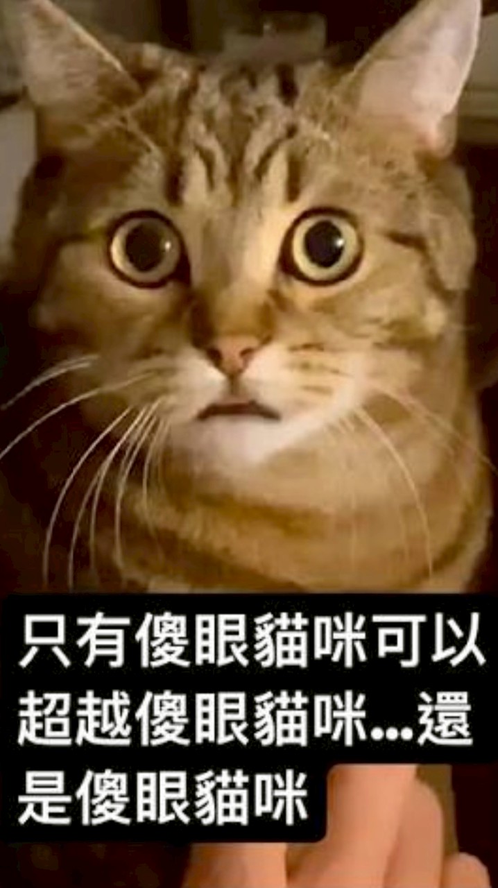 售後全靠通靈🙄