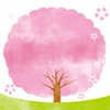 【千葉】お花見＆開花情報🌸写真＆スポット/ 桜 さくら 梅 ウメ 春