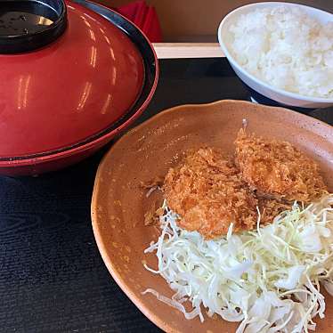 かつや 尼崎西難波店 カツヤ アマガサキニシナニワテン 西難波町 出屋敷駅 天ぷら By Line Conomi