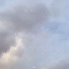 全緩也＜ハント＞