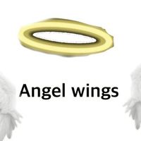 Angl wings