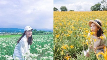 〔打卡揪〕類偶像劇片頭景點大公開！【盤點IG秋季療癒秘境】，男友：這下又要拍到手軟了