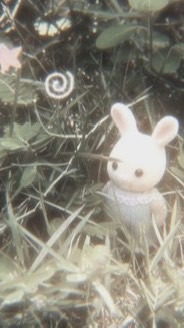 儚くなりたい子、儚い画像欲しい子おいでーー！！