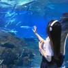 エモい画像欲しい人集まれー！トーク禁止⚠️