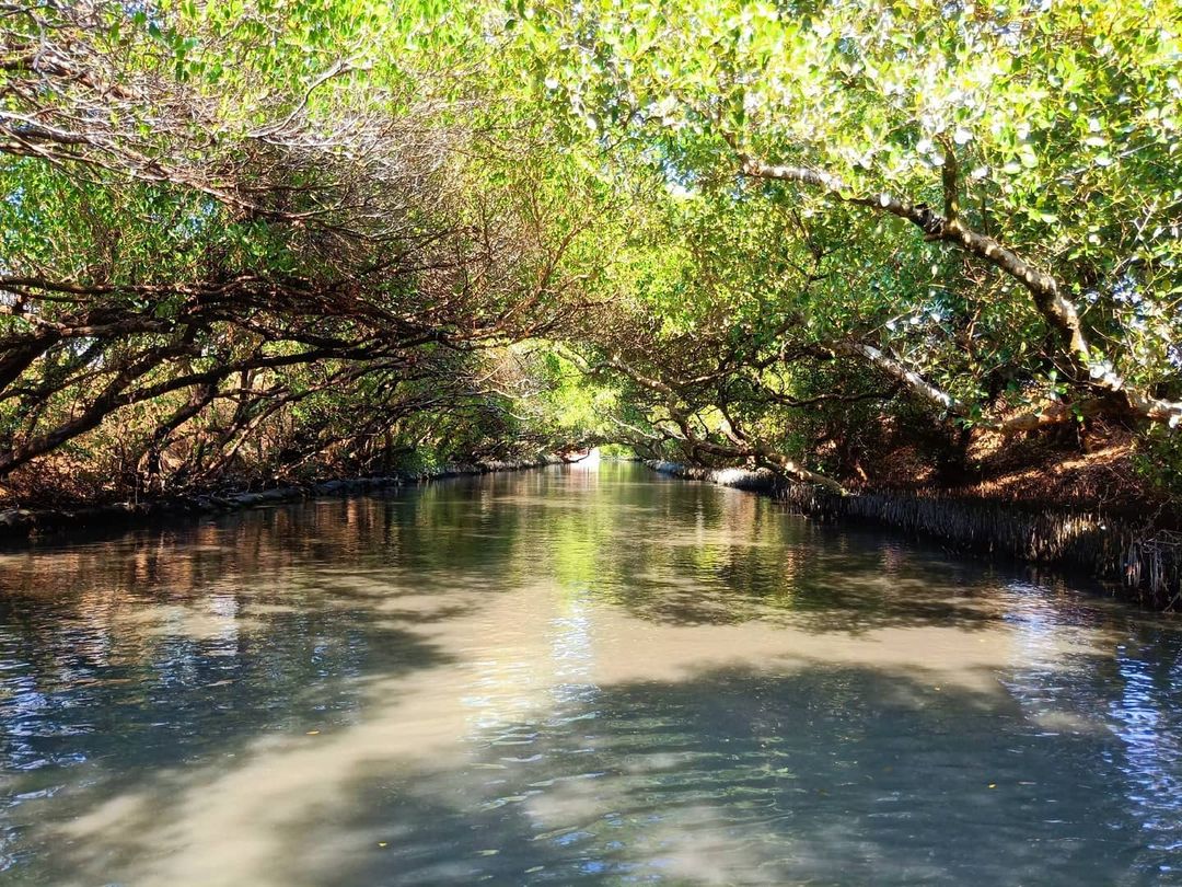 四草隧道 @jin Lu 2020