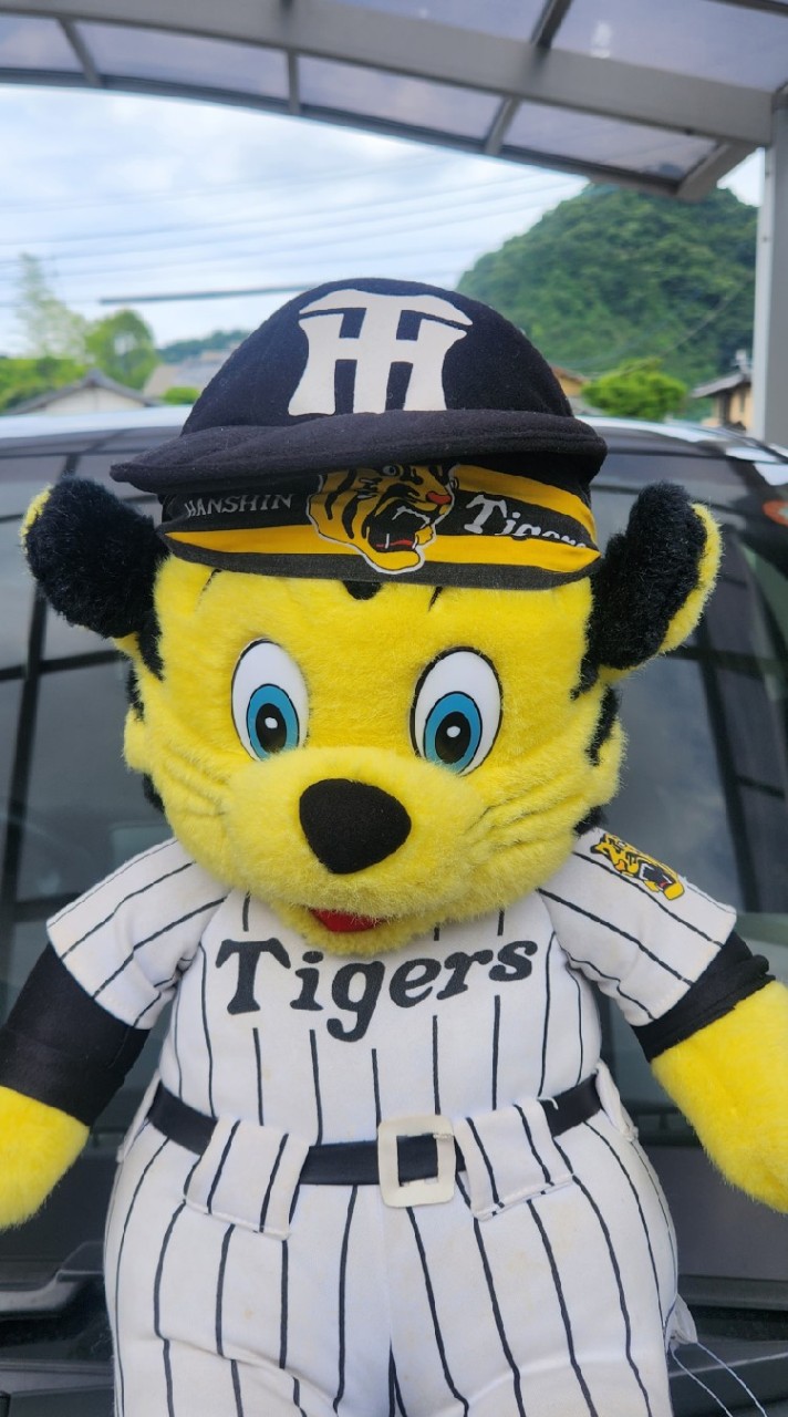 阪神タイガース🐯めっちゃ好きやねん❤️(本拠地観戦⚾同好会🍴😋🍚応援✊‼️雑談など)