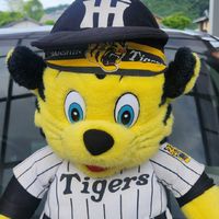 阪神タイガース🐯めっちゃ好きやねん❤️(本拠地観戦⚾同好会🍴😋🍚応援✊‼️雑談など)