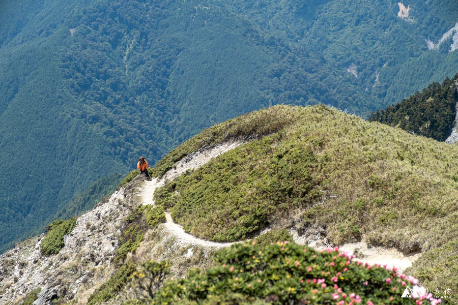 山女孩MelissaxMao冒險生活_奇萊主北_奇萊北峰主峰三天兩夜登山紀錄-141.jpg