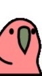 誰でも参加OK‼️マリオメーカー2ツムツムもやれマリカ(マリオカート)マイクラにゃんこオープンチャット