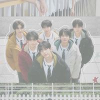 蒜妮 TWS:代購/拆