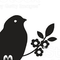 鳥好きさん飛んでこいっ!!!
