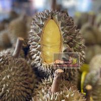 เฮียต้น-เจ้ฝ้าย เพชรบุรี <จ่ายแพงต้องได้กินของดี>