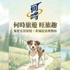何時旅遊 × 旺旅趣｜【彰化以南上車】寵愛毛孩旅程，幸福從這裡開始