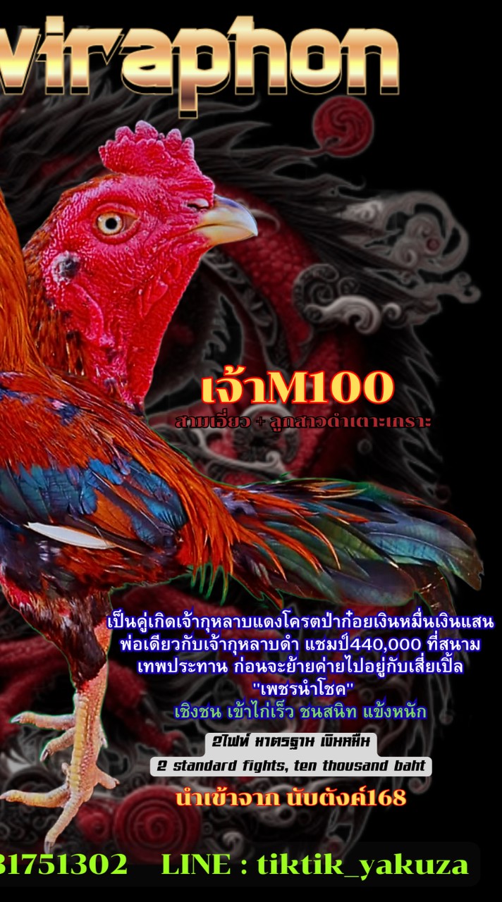 ต.วีระพล  แหล่งเพาะพันธุ์พัฒนาไก่ชน