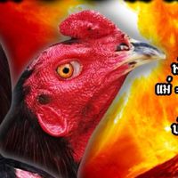 PS ห้วยเปี่ยมสุขฟาร์ม