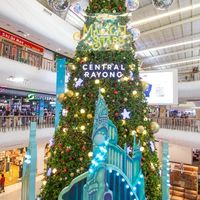 Market-CentralRayong