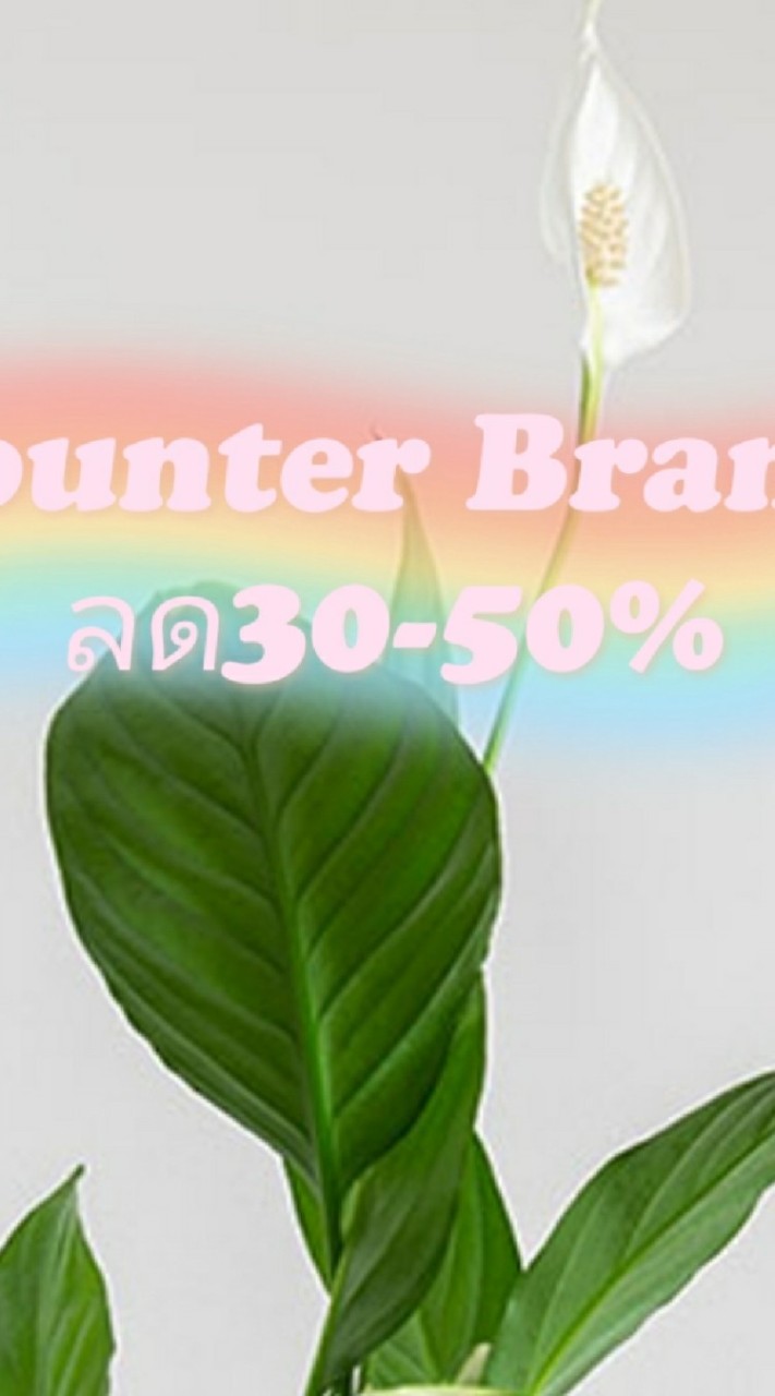 เครื่องสำอางป้ายคิง ลด30-50%