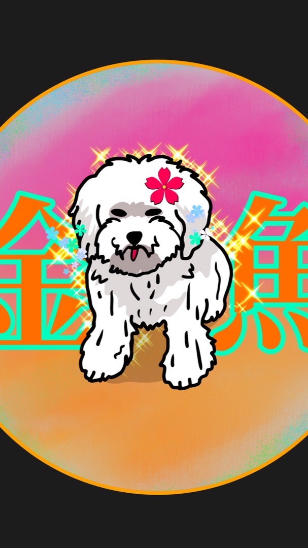 《金魚星🐟團購 螺獅粉 安慕希 批發》