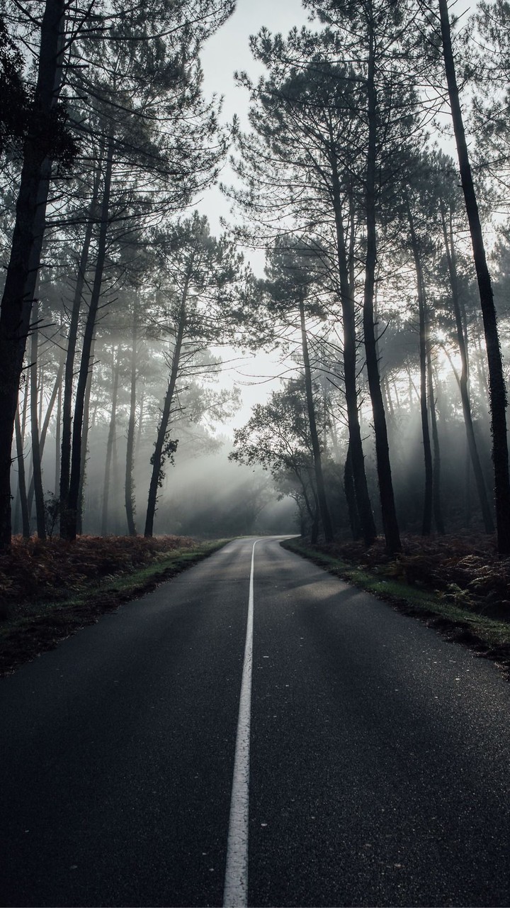 ตามมาบวก