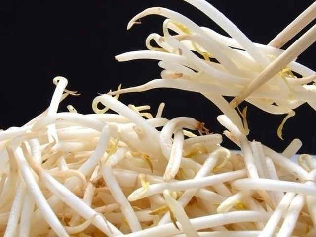 え 野菜室はng もやしの正しい保存方法とは 暮らしニスタ