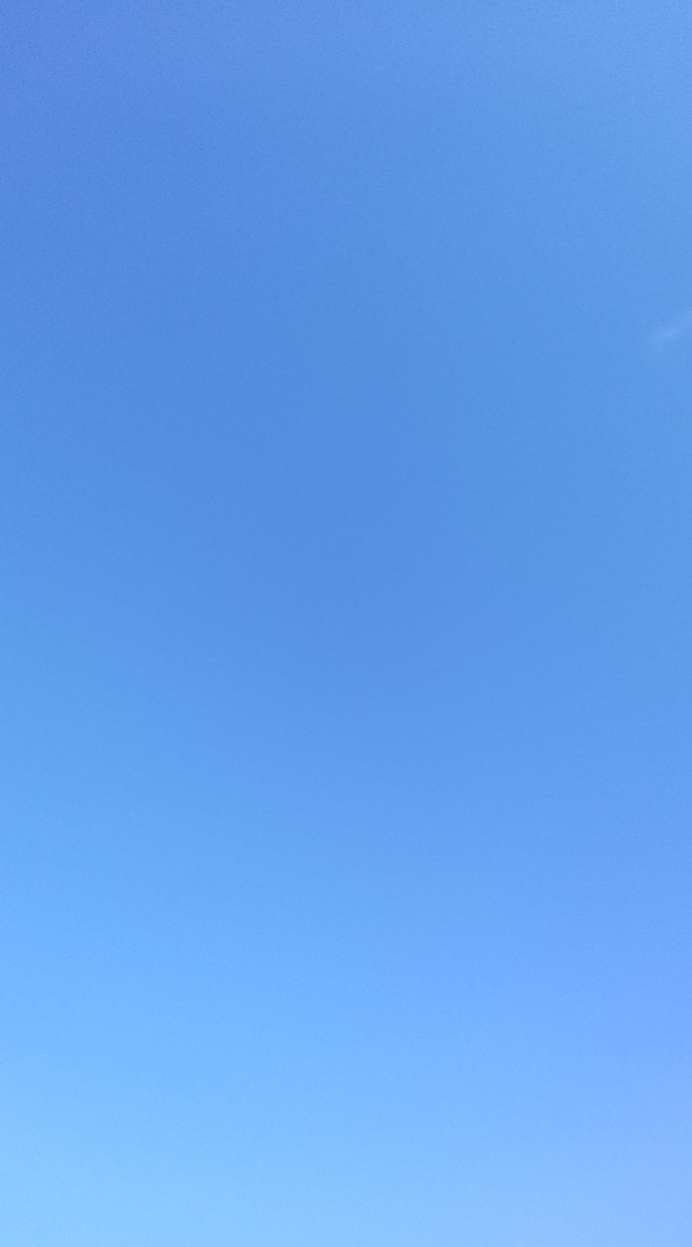 孤高の反ワクチン派のつどい