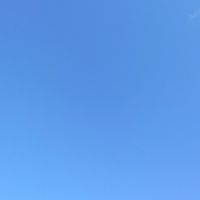 孤高の反ワクチン派のつどい