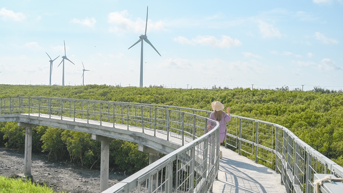 體驗全台唯一「海牛採蚵」！彰化芳苑１日遊必訪６亮點，海鮮控爽吃烤蚵大餐