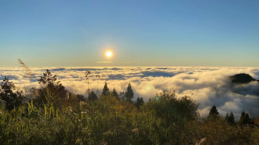 圖片來源/阿里山國家森林遊樂區-LINE熱點用戶