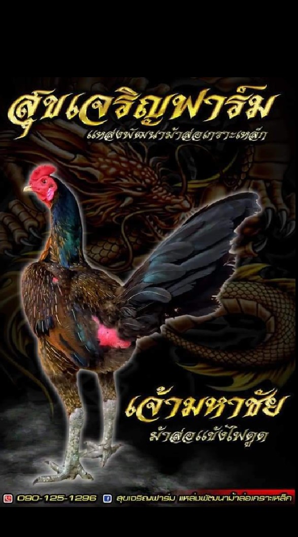 สุขเจริญฟาร์ม