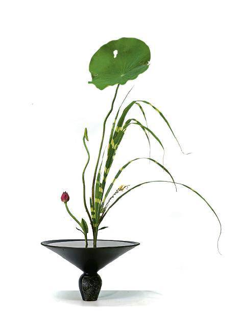 花道達人 梁偉怡以花悟道香港又多了一位世一 明報 Line Today