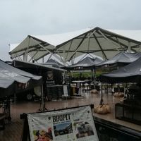 🍻🏖️Nexte deバーベキュー＆焚き火会🍖🍴【Open Chat】